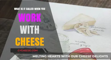 Mastering the Art of Cheese Crafting: What’s It Called?