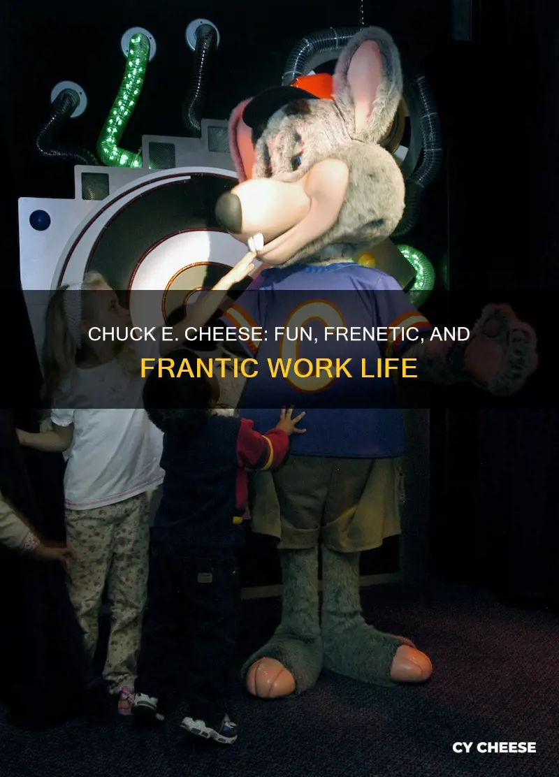 what is it like to work at chuck e cheese