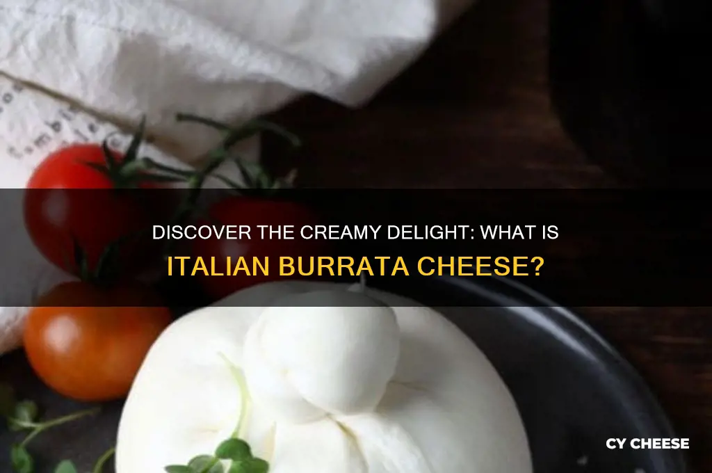 what is italian burrata cheese