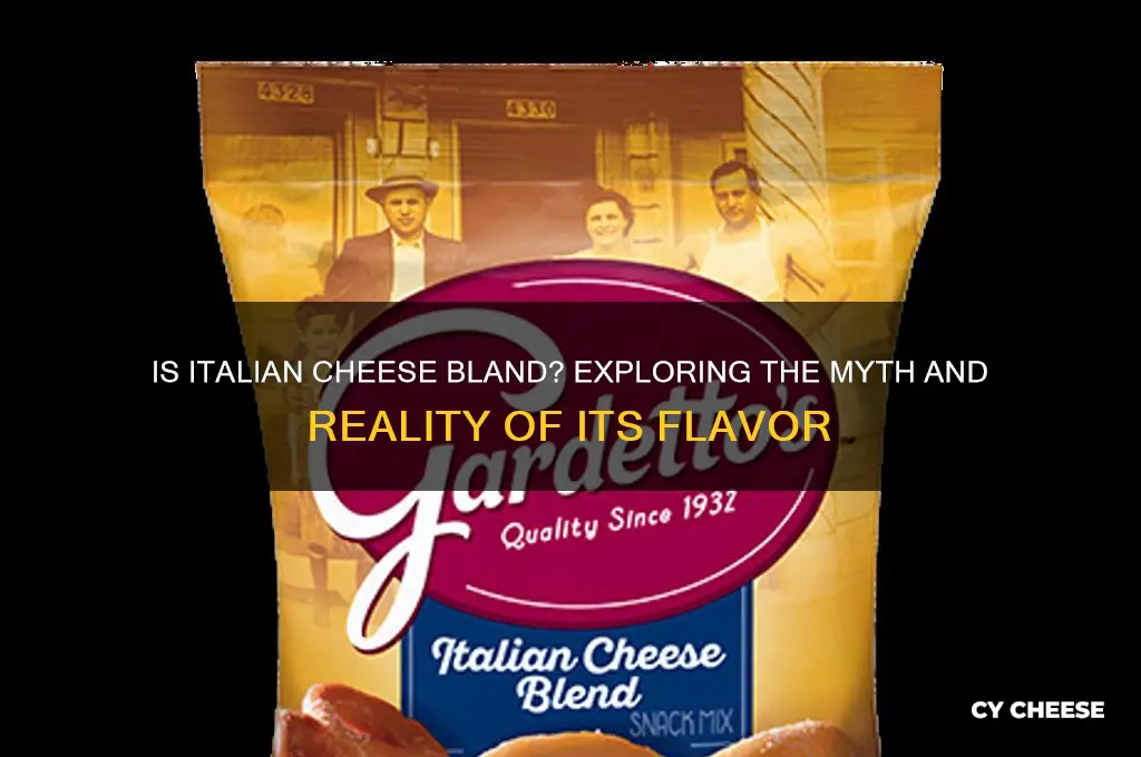 what is italian cheese bland