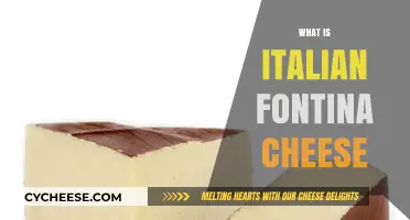 Discover the Rich Flavor and History of Italian Fontina Cheese