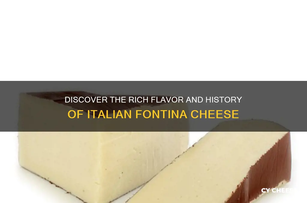 what is italian fontina cheese