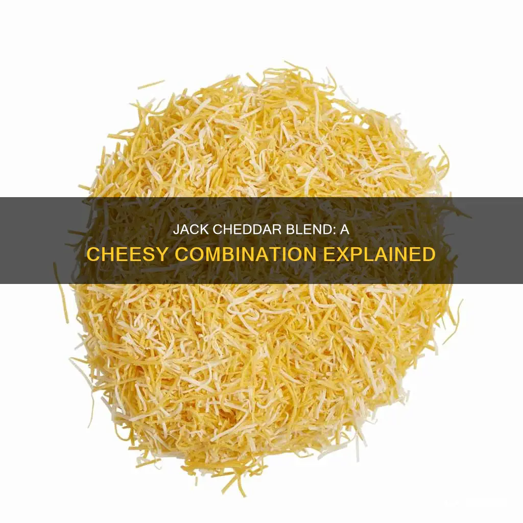 what is jack cheddar blend cheese