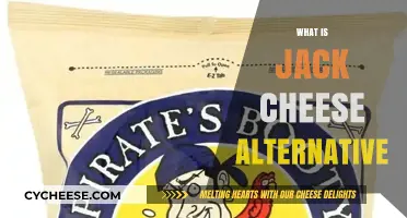 Discover the Best Jack Cheese Alternatives for Your Recipes