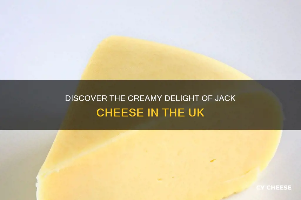 what is jack cheese uk