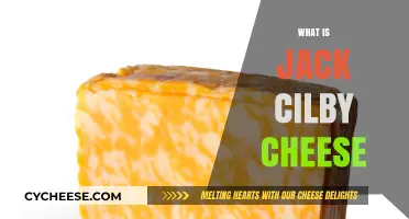 Discovering Jack Cilby Cheese: Origins, Flavor, and Culinary Uses