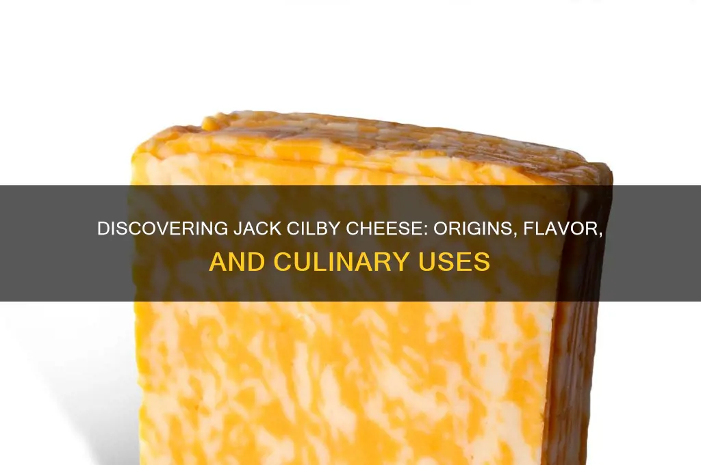 what is jack cilby cheese