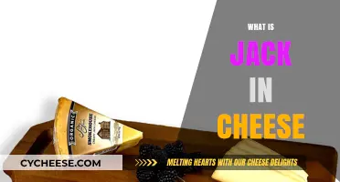 Understanding Jack Cheese: Origins, Flavor, and Culinary Uses Explained