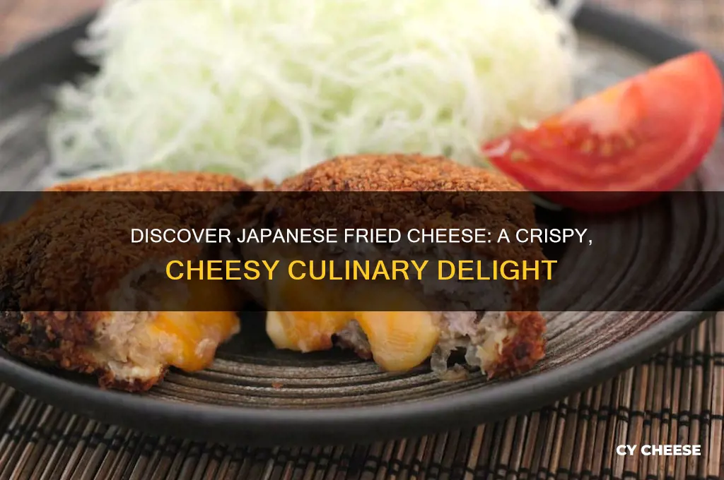 what is japanese fried cheese