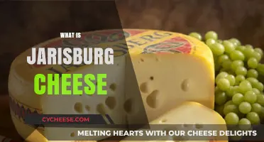 Exploring Jarisburg Cheese: Origins, Flavor, and Culinary Uses Revealed