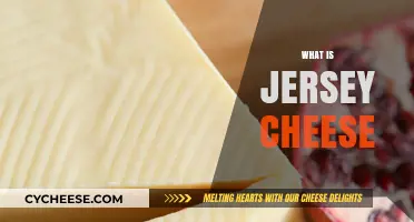 Discover the Creamy Delight of Jersey Cheese: A Tasty Guide
