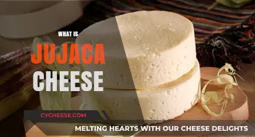 Discover the Unique Flavor and Origin of Jujaca Cheese