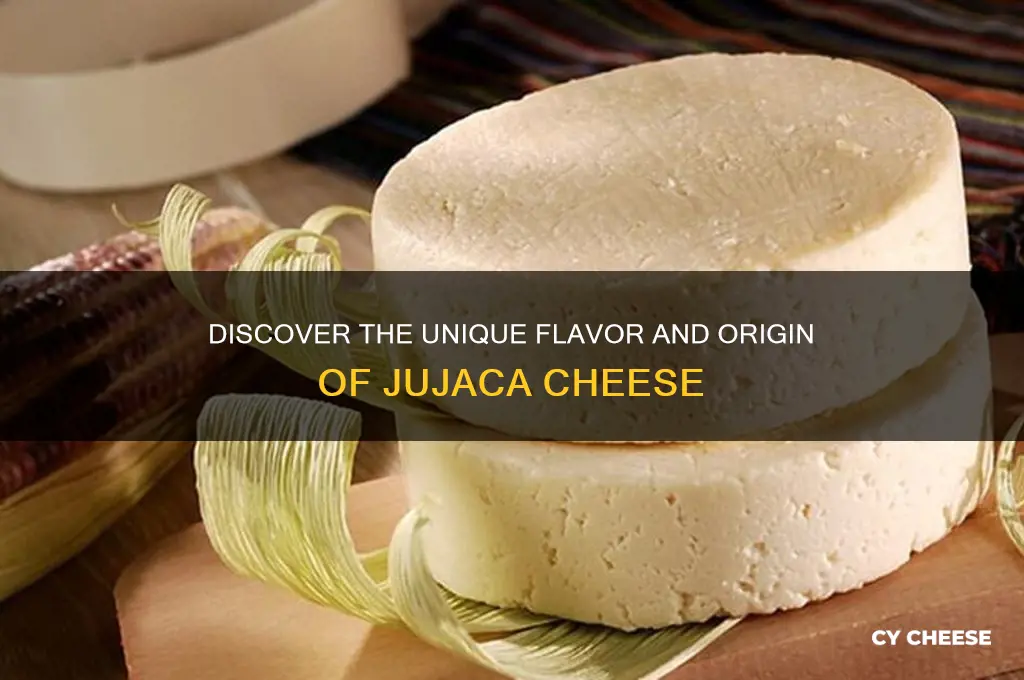 what is jujaca cheese