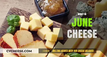 June Cheese Explained: Origins, Flavor, and Culinary Uses