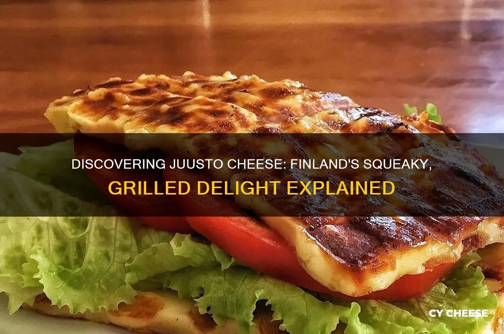 what is juusto cheese