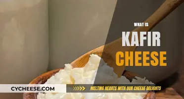 Discovering Kafir Cheese: Origins, Uses, and Unique Flavor Profile