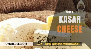 Discover the Rich Flavor and Uses of Kasar Cheese