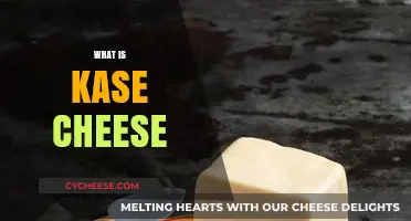 Discover the Unique Flavor and Uses of Kase Cheese