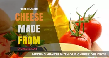 Kasseri Cheese: Unveiling the Secrets of its Unique Flavor