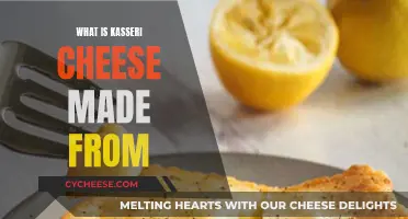Kasseri Cheese: Traditional Recipe and Its Unique Ingredients