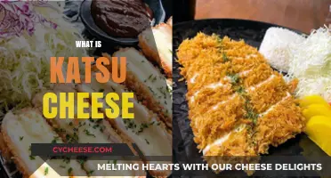 Discover the Delicious Fusion: What is Katsu Cheese?