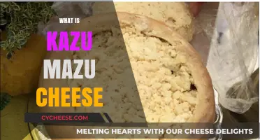 Discover the Unique Flavor and Origin of Kazu Mazu Cheese