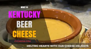 Discover Kentucky Beer Cheese: A Spicy, Savory Southern Snack Tradition