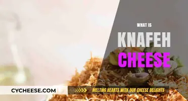 Discover the Sweet and Creamy Delight of Knafeh Cheese