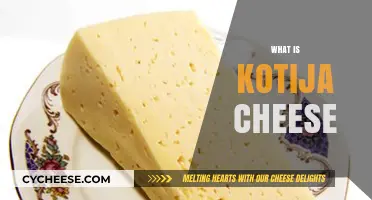 Discovering the Rich Flavor and Uses of Kotija Cheese
