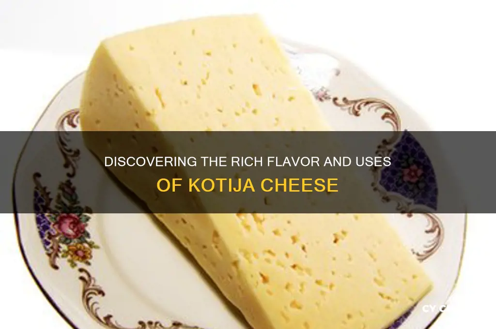 what is kotija cheese
