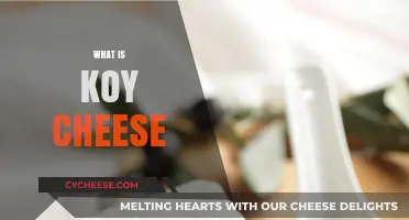 Discover the Unique Flavor and Origin of Koy Cheese