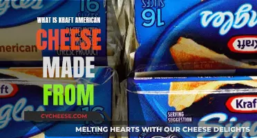 Kraft American Cheese: What's Inside This Processed Food?