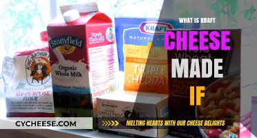 Unveiling Kraft Cheese: Ingredients and Manufacturing Process