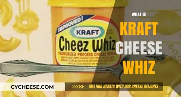 Exploring Kraft Cheese Whiz: Ingredients, Uses, and Unique Flavor Profile