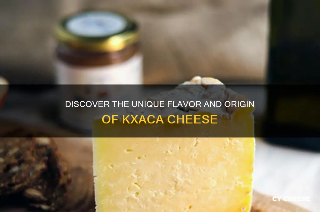 what is kxaca cheese