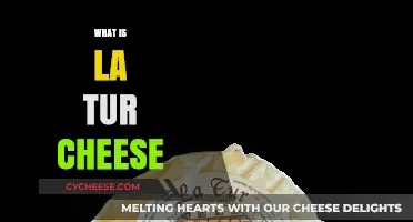 Discovering La Tur Cheese: A Creamy, Rich Italian Delight Explained