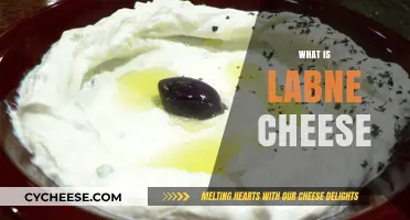 Discover Labne Cheese: A Creamy, Tangy Middle Eastern Delight