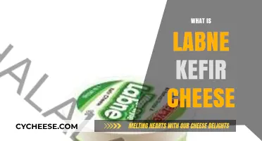 Discover Labne Kefir Cheese: Benefits, Uses, and Easy Homemade Recipe