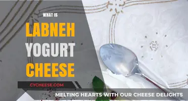 Discover Labneh: Creamy Yogurt Cheese, Its Origins, and Uses