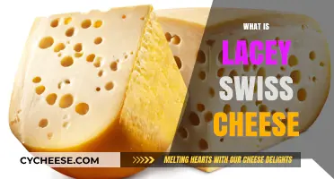 Swiss Cheese Secrets: Lacey Swiss Cheese Explained