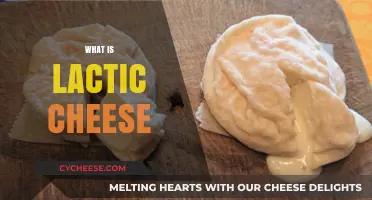 Discover the Creamy Delight: Understanding Lactic Cheese and Its Uses