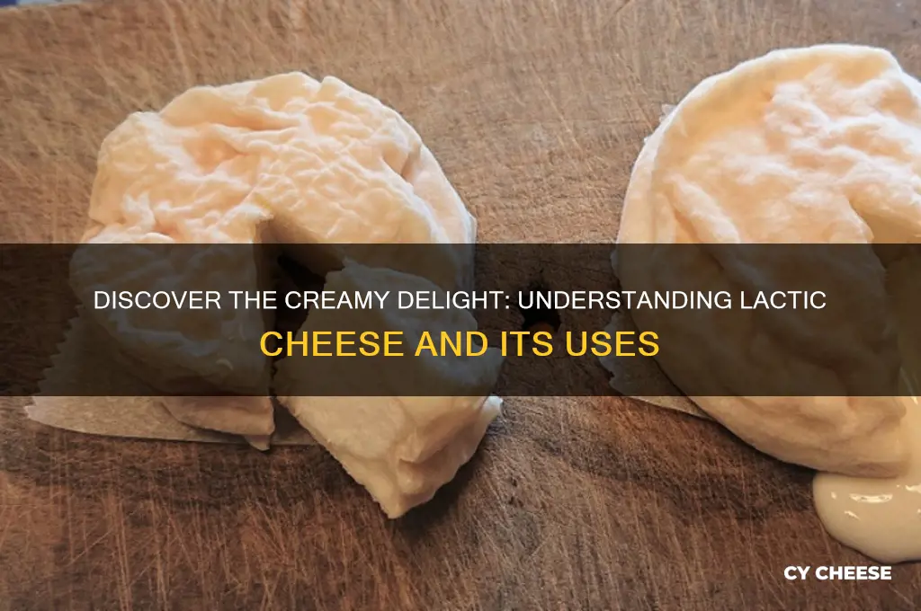 what is lactic cheese