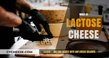 Understanding Lactose Cheese: Types, Benefits, and How It's Made