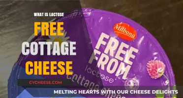 Understanding Lactose Free Cottage Cheese: Benefits, Uses, and How It's Made