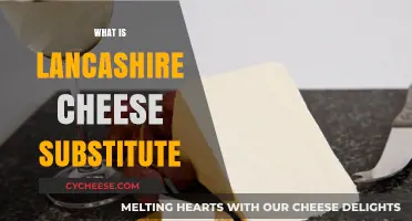 Discover the Best Lancashire Cheese Substitute for Your Recipes