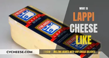 Exploring the Unique Flavor of Lappi Cheese: A Tasty Adventure