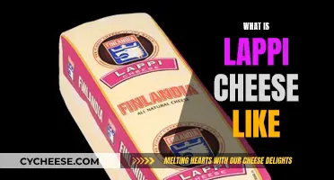 Lappi Cheese: A Unique Taste Experience