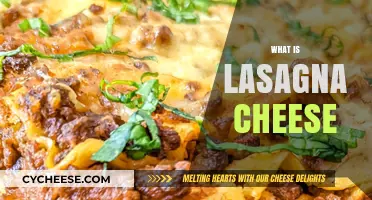 Discover the Creamy Layers: What is Lasagna Cheese?