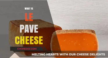 Discover the Rich, Buttery Delight of Le Pavé Cheese