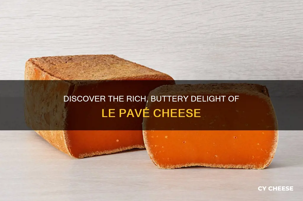 what is le pave cheese
